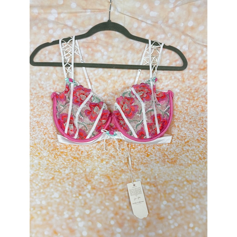 For Love & Lemons Floral Embroidered Underwire Bra Pink White 36DD NWT